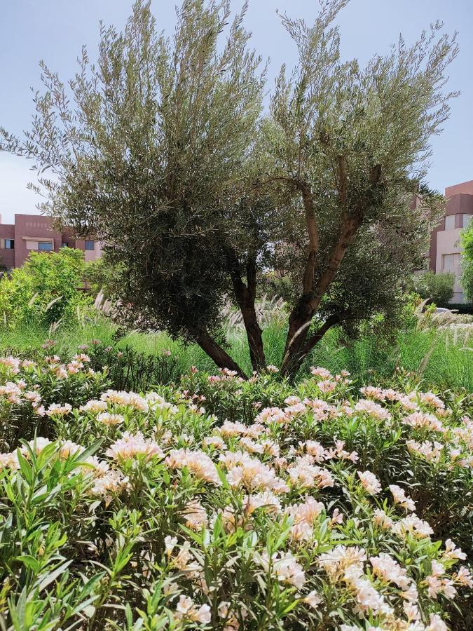Prestigia Marrakech Dar Cheryana Marrakesh Eksteriør bilde